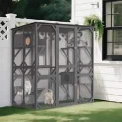 70'' Large Walk-in Catio Outdoor Cat Enclosure With Window, 4 Jumping Platforms & 2 Resting Box 15 70'' Large Walk-in Catio Outdoor Cat Enclosure With Window, 4 Jumping Platforms & 2 Resting Box -Living Aura Store GUEST 100b552a cb5a 4830 93ef 1012b9ea8f64