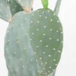 42" Artificial Cactus Plant – Realistic Large Potted Cactus, Low Maintenance, Indoor Outdoor Decorative Greenery For Home, Office, Garden 11 42" Artificial Cactus Plant – Realistic Large Potted Cactus, Low Maintenance, Indoor Outdoor Decorative Greenery For Home, Office, Garden -Living Aura Store GUEST 16d98243 be0e 4ca9 b16d fdfdd3c1d5e7